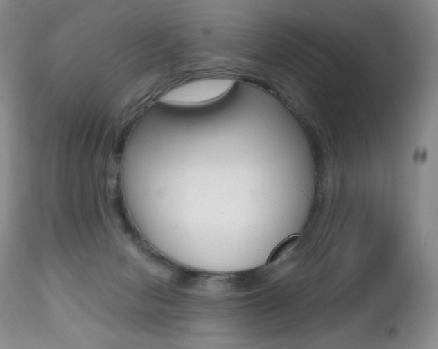 X0000112520078200908171122