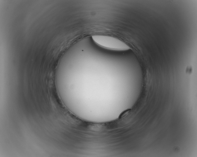 X0000112520079200908171122