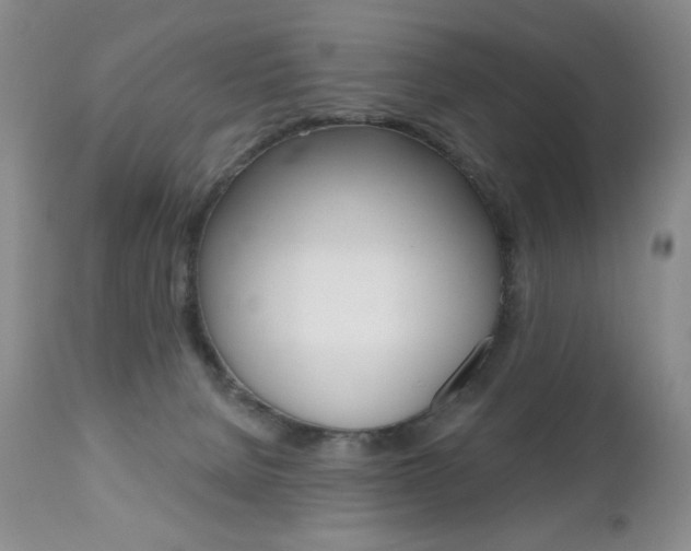 X0000112520080200908171122