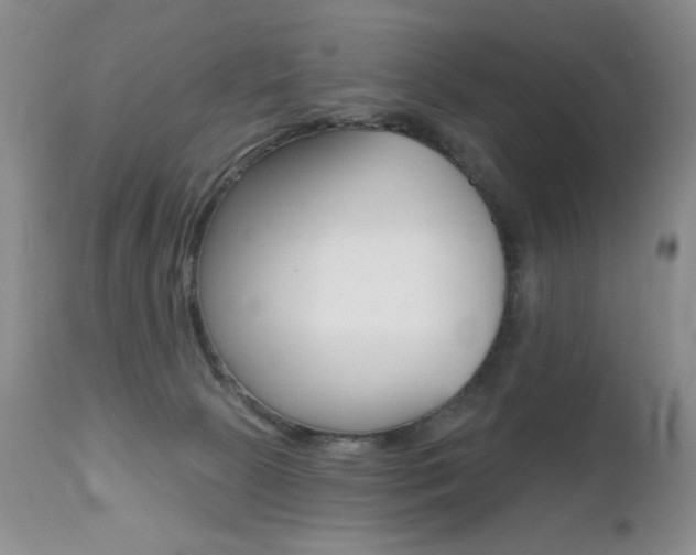X0000112520081200908171122