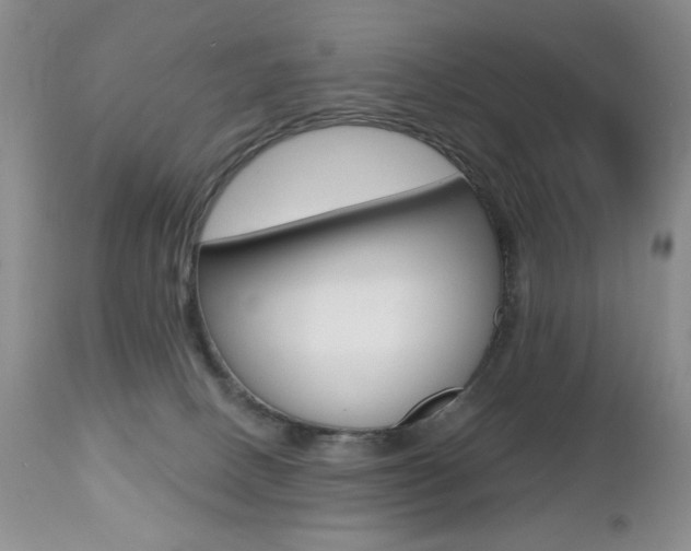 X0000112520082200908171122