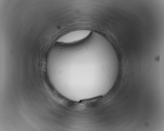 X0000112520083200908171122