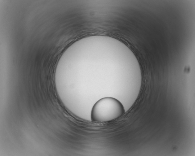 X0000112520084200908171122