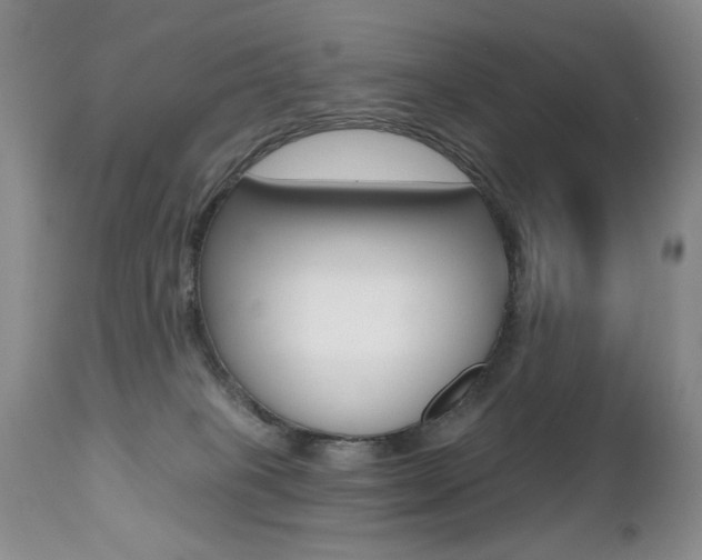 X0000112520085200908171122