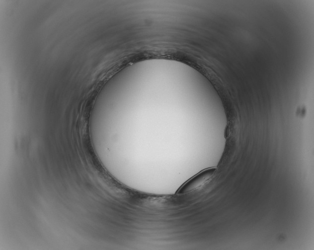 X0000112520086200908171122