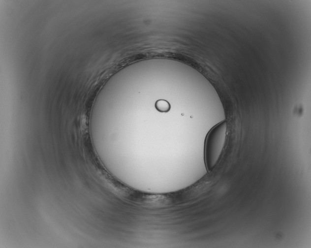 X0000112520087200908171122