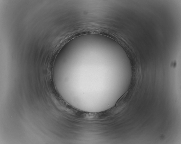 X0000112520088200908171122