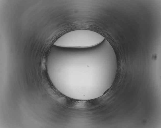 X0000112520090200908171122