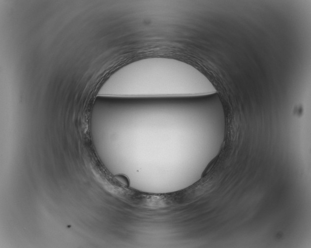 X0000112520091200908171122