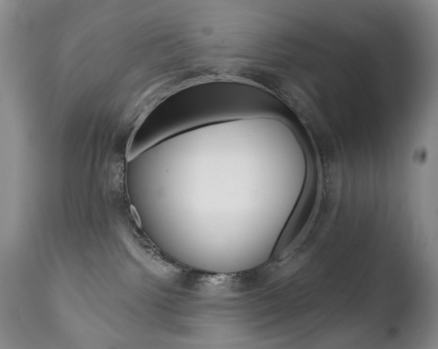 X0000112520092200908171122