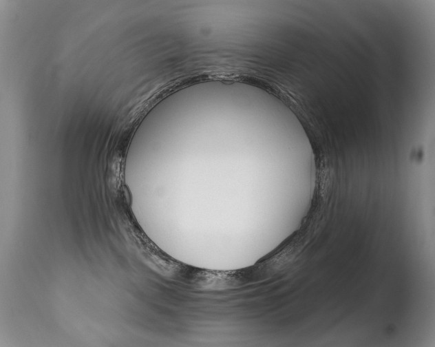 X0000112520093200908171122