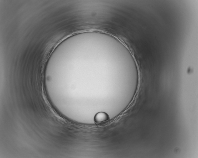 X0000112520097200908171122