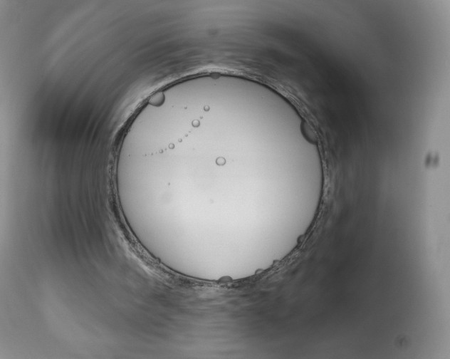 X0000112520098200908171122