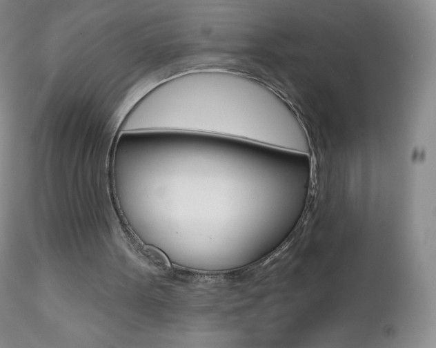 X0000112520099200908171122