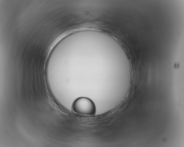 X0000112520100200908171122