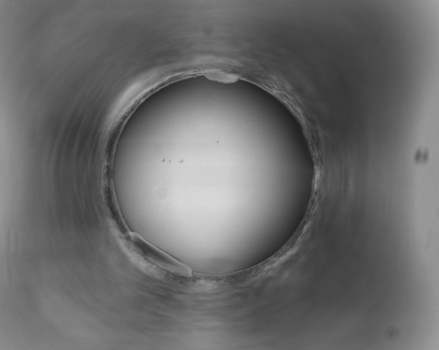 X0000112520101200908171122