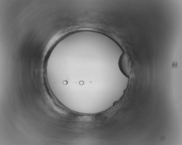 X0000112520102200908171122