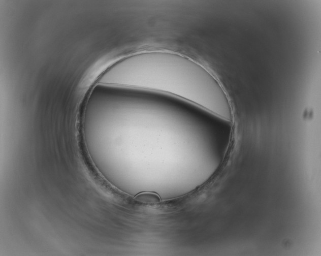 X0000112520103200908171122