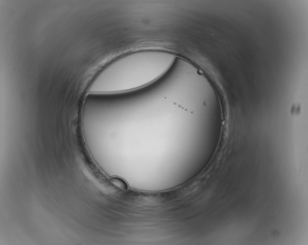 X0000112520107200908171122