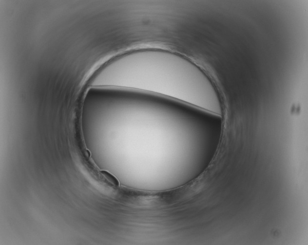 X0000112520108200908171122