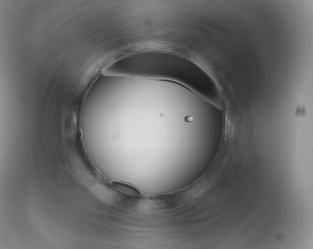 X0000112520109200908171122
