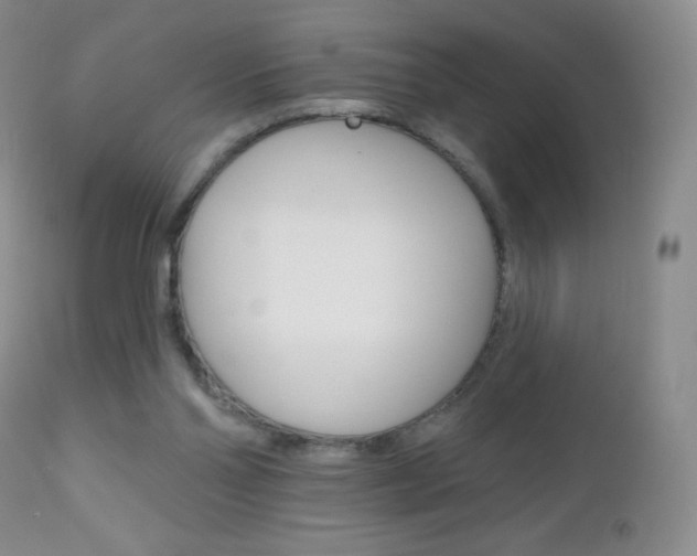 X0000112520110200908171122