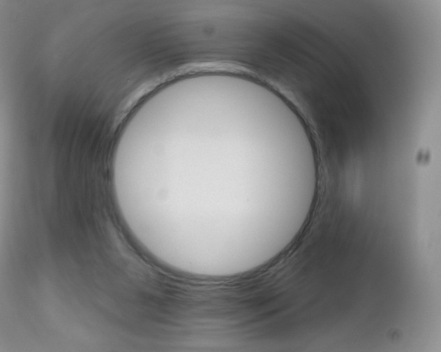 X0000112520111200908171122