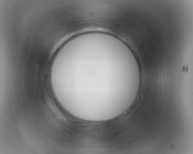 X0000112520112200908171122