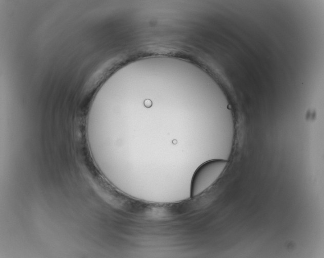 X0000112520114200908171121