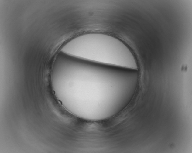 X0000112520115200908171121