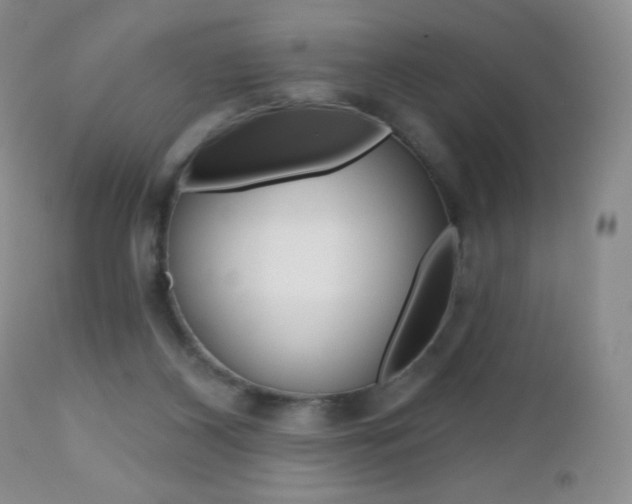 X0000112520116200908171121