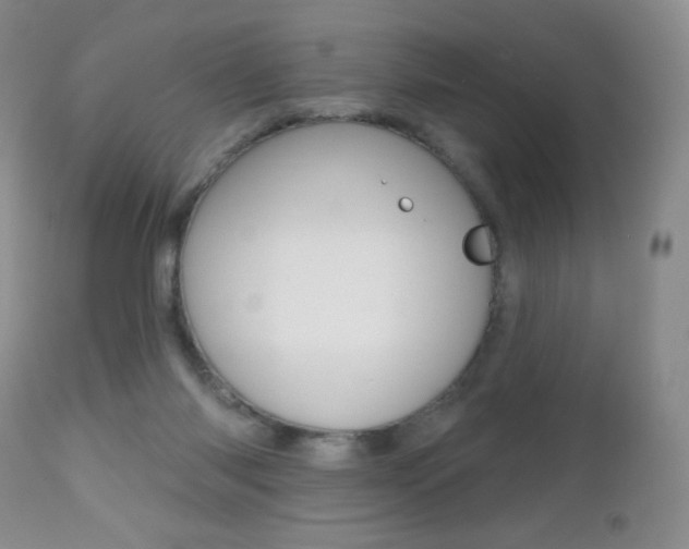 X0000112520118200908171121