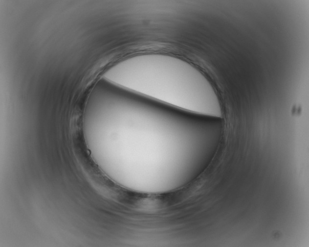 X0000112520119200908171121