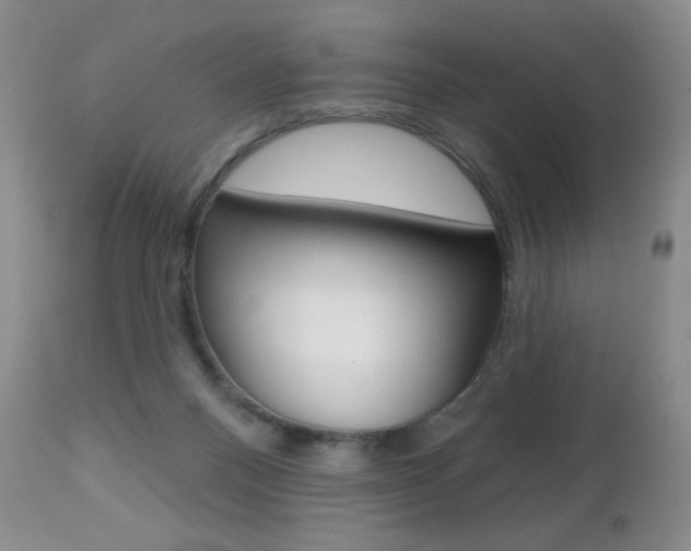 X0000112520120200908171121