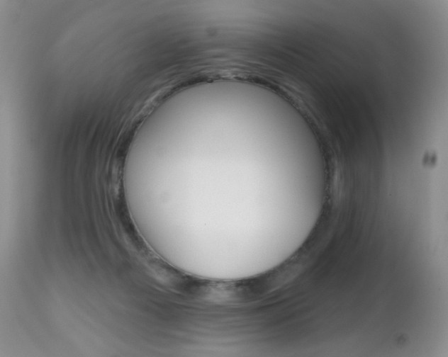 X0000112520121200908171121