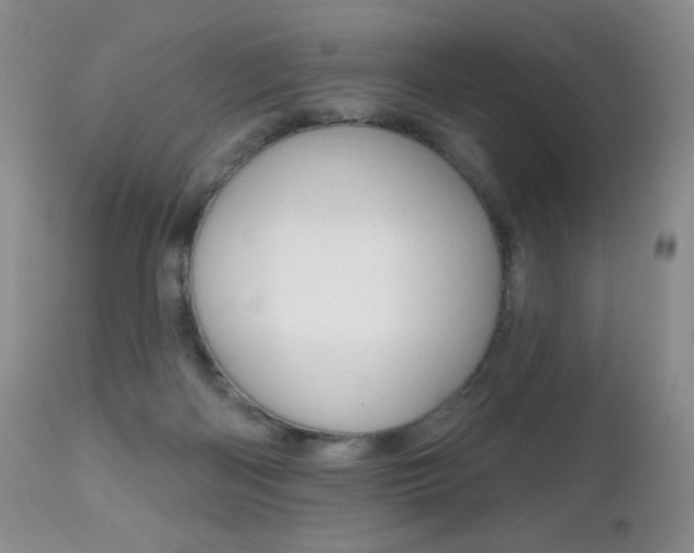 X0000112520122200908171121