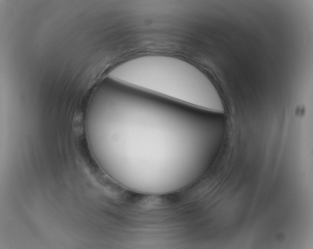 X0000112520123200908171121