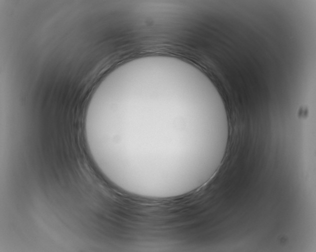 X0000112520124200908171121