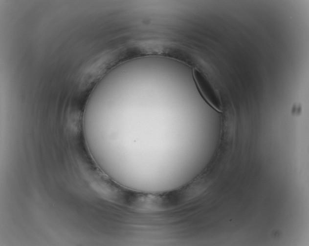 X0000112520125200908171121