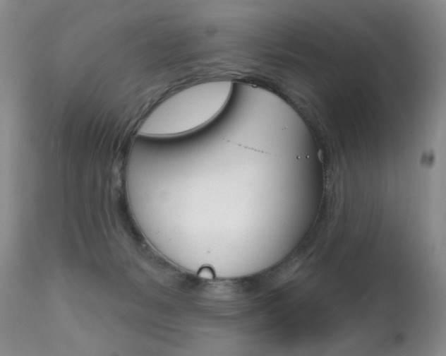 X0000112520127200908171121