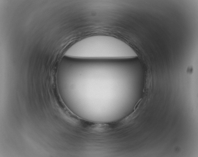X0000112520128200908171121