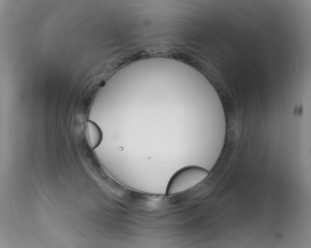 X0000112520130200908171121