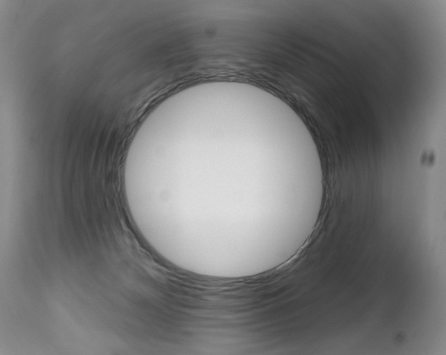 X0000112520132200908171121