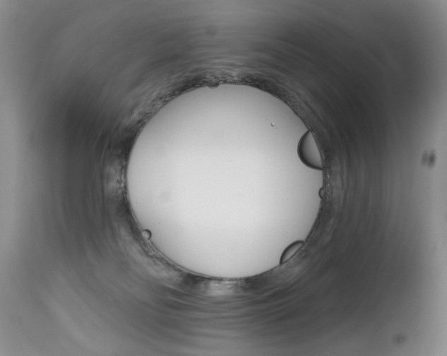 X0000112520134200908171121