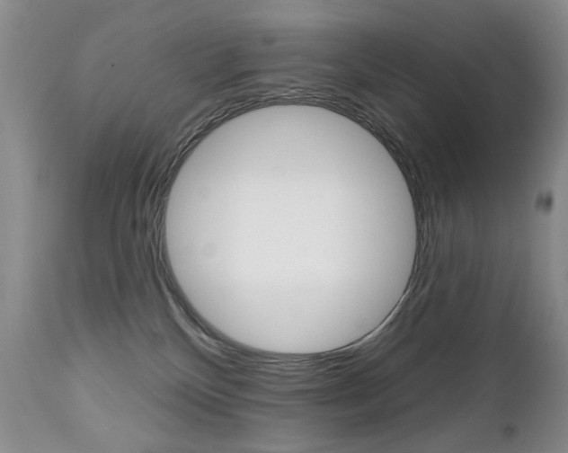 X0000112520136200908171121