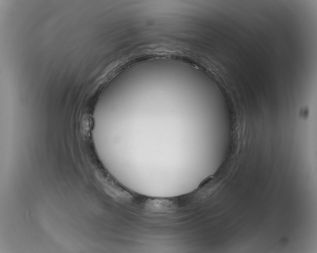 X0000112520137200908171121