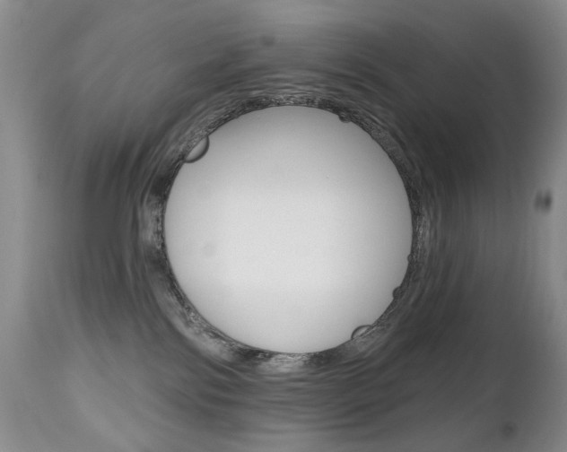 X0000112520138200908171121