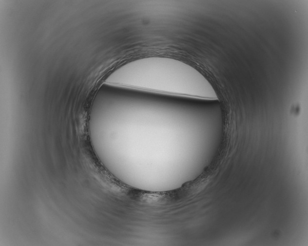 X0000112520139200908171121
