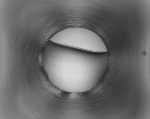 X0000112520141200908171121