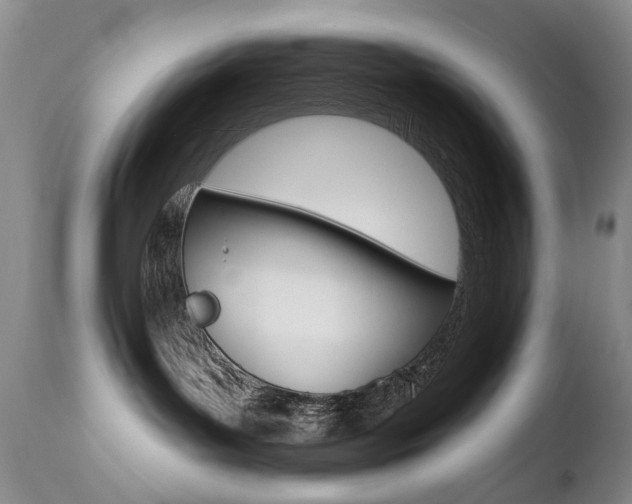 X0000112520143200908171121